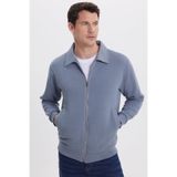 TUDORS Relax Fit Pamuklu İç Polarlı Fermuarlı Polo Yaka Sweatshirt, L, SW250015, Gri, erkek