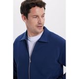 TUDORS Relax Fit Pamuklu İç Polarlı Fermuarlı Polo Yaka Sweatshirt, M, SW250015, Lacivert, erkek