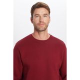TUDORS Relax Fit Pamuklu İçi Polarlı Bisiklet Yaka Sweatshirt, M, SW220005, Bordo, erkek