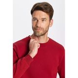 TUDORS Relax Fit Pamuklu İçi Polarlı Bisiklet Yaka Sweatshirt, XS, SW220005-000, Bordo, erkek