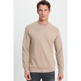 TUDORS Relax Fit Uzun Kollu Bisiklet Yaka Sweatshirt, L, SW250047, Vizon, erkek