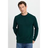 TUDORS Relax Fit Uzun Kollu Bisiklet Yaka Sweatshirt, L, SW250047, Yeşil, erkek
