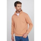 TUDORS Relax Fit Yarım Fermuarlı Dik Yaka Sweatshirt, XS, SW240002, Yavrua ğzı, erkek