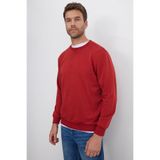 TUDORS Relax Fit%100 Pamuk Basic Bisiklet Yaka Sweatshirt, XL, SW230001-OCB, Kiremit, erkek