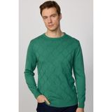 Tudors Slim Fit Bisiklet Yaka Desenli Yeşil Erkek Triko Kazak