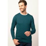 Tudors Slim Fit Bisiklet Yaka Erkek Kazak KZ14009-Y2