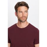 TUDORS Slim Fit Pamuklu Likralı Esnek Kumaş Basic Bisiklet Yaka Tişört, XL, TS210001-08, Bordo, Erkek
