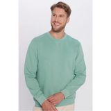 Tudors Unisex Oversize Geniş Kesim Pamuklu Basic Yeşil Bisiklet Yaka Sweatshirt - Açık Yeşil