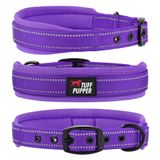 Tuff Pupper Ultra Rahat Dolgulu Köpek Tasması | Kalın Neopren Dolgu | Yansıtıcı Dikişli Balistik Naylon Kayış Köpek Tasması | Dayanıklı Metal Toka ve Entegre Kimlik Etiketi Tutucu | Su Geçirmez Yaka