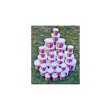 tufty Tufting ve Punch Tutkalı (10 KG)