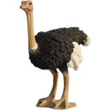 Tufy Toys Devekuşu Figürü-Doğa Temalı Model Hayvan Oyuncak - Hayvanlar