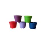 Tuğel Flowers 100 Adet KÜÇÜK BOY Plastik 5 Renkli Kaktüs Üretim Saksısı (8.5 Cm.lik)Alt Tabaksız