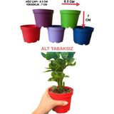 Tuğel Flowers 30 Adet KÜÇÜK BOY Plastik 5 Renkli Çiçek Üretim Saksısı (8.5 CM.LİK) Alt Tabaksız