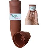 Tuğel Flowers 50 Adet Kaktüs&sukulent Üretim Saksısı (Mini Boy-5.5 Cm)