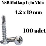 Tuğra Hırdavat Yıldız Silindir Başlı 4.2x19 YSB Matkap Uçlu Akıllı Vida 100 Adet