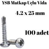 TUĞRA HIRDAVAT Yıldız Silindir Başlı 4.2x25 YSB Matkap Uçlu Akıllı Vida 100 Adet