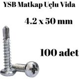 Tuğra Hırdavat Yıldız Silindir Başlı 4.2x50 YSB Matkap Uçlu Akıllı Vida 100 Adet