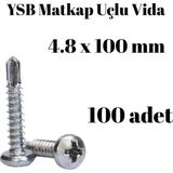 Tuğra Hırdavat Yıldız Silindir Başlı 4.8x100 YSB Matkap Uçlu Akıllı Vida 100Adet