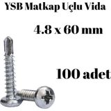 Tuğra Hırdavat Yıldız Silindir Başlı 4.8x60 YSB Matkap Uçlu Akıllı Vida 100 Adet