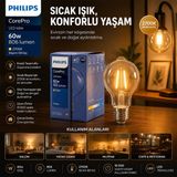 Tuğraçelik Philips Corepro G93 LED Filament Rustik Ampul 7W E27 - 2700K, 806 Lümen, Cam Gövde, Kod 346772 00- 6'li Paket