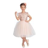 Tüllü Kız Çocuk KPL Elbise MNK0526