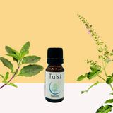 Tulsi (Hint Fesleğeni) Uçucu Yağı | Haven Herbs & Blends - 10ml