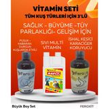 Tüm Kuş Türleri Için 3 'Lü Vitamin Seti -Kısa Sürede Etkili