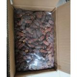 Tumuur Mebrum Medine Hurması (5 Kg)