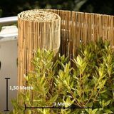 tunalar 1,50 Metre x 3 Metre Bambu Kamış Hasır