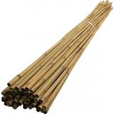 Tunç Botanik Bambu Bitki Destek Çubuğu 150 cm 20 Adet
