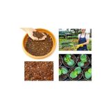 Tunç Botanik Bitki Toprağı 10 Lt - 5'li Karışım(TORF,PERLİT,KOMPOST,KUM,ORMAN TOPRAĞI)