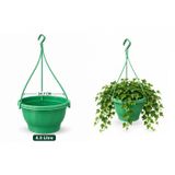 Tunç Botanik YEŞİL RENKLİ ASKILI SAKSI 10 ADET 4.5 LİTRE (24.7 X 15.2 CM / 60 CM)