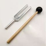 Tuning Fork Diyapozon 1024 Hz Çatalı