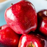 Tüplü Aşılı Tam Bodur Red Miracle Kırmızı Mucize Elma Fidanı
