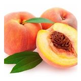 Tüplü Aşılı Verimli Erkenci Spring Lady Şeftali Fidanı