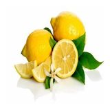 Tüplü Aşılı Yarı Bodur Özel Çeşit Kütdiken Limon Fidanı