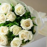 Tuplu Kordes Rosen White Masquerade Yediveren Gul Fidani