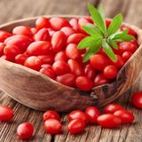 Tüplü NQ7 Kırmızı Goji Berry Fidanı