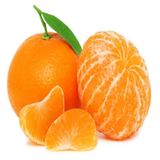 Tüplü Parlak Meyveli Fremont Mandalina Fidanı