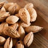 Tüplü Yarı Bodur Amerikan Nonpareil(nomperyal) El Bademi Fidanı