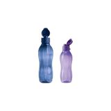 Tupperware 1 lt Lacivert ve 750 ml Mercan Set Suluk