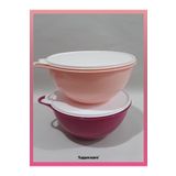 Tupperware 4.5 lt 2'li Mikser Kabı