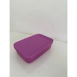 Tupperware Alaska 1lt Buzdolabı ve Derin Dondurucu Saklama Kabı
