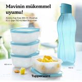Tupperware Alaska 450 ml 4 lü ve Eko Şişe Suluk 750 ml Set
