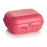 Tupperware Beslenme Kabı Istiridye Midi Taşıma Kutusu Hsgl