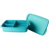 Tupperware Bölmeli Beslenme Kutusu Tupperware Bölmeli Beslenme Kutusu 1litre