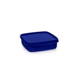 Tupperware Bölmeli Yemek Taşıma Kabı 550 ml Gece Mavisi