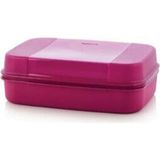 Tupperware Büyük Saklama Kabı