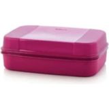 Tupperware Büyük Saklama Kutusu - 1 Adet