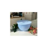 Tupperware Buz Mavisi 4,3 lt Saklama Kabı